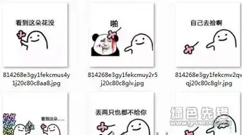 送花花表情包送花花图片v2017完整版软件下载
