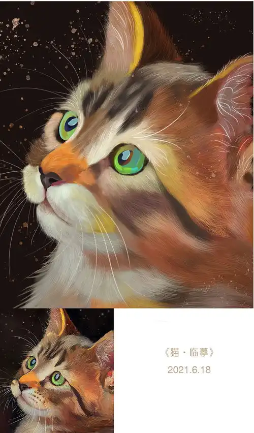 猫咪动物写实小插画可爱的小动物
