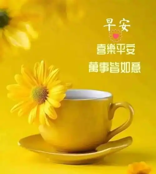 图片文字早安,朋友,生活不会辜负任何一个努力的人
