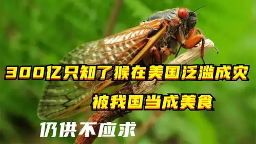 300亿只知了猴在美国泛滥成灾,被我国当成美食,仍供不应求
