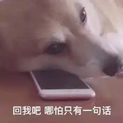 别自欺欺人把舔狗当深情
